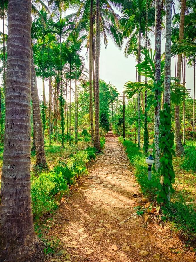 Nature'S Nest Eco Resort Goa, Near Dudhsagar Waterfalls Molem Exteriér fotografie