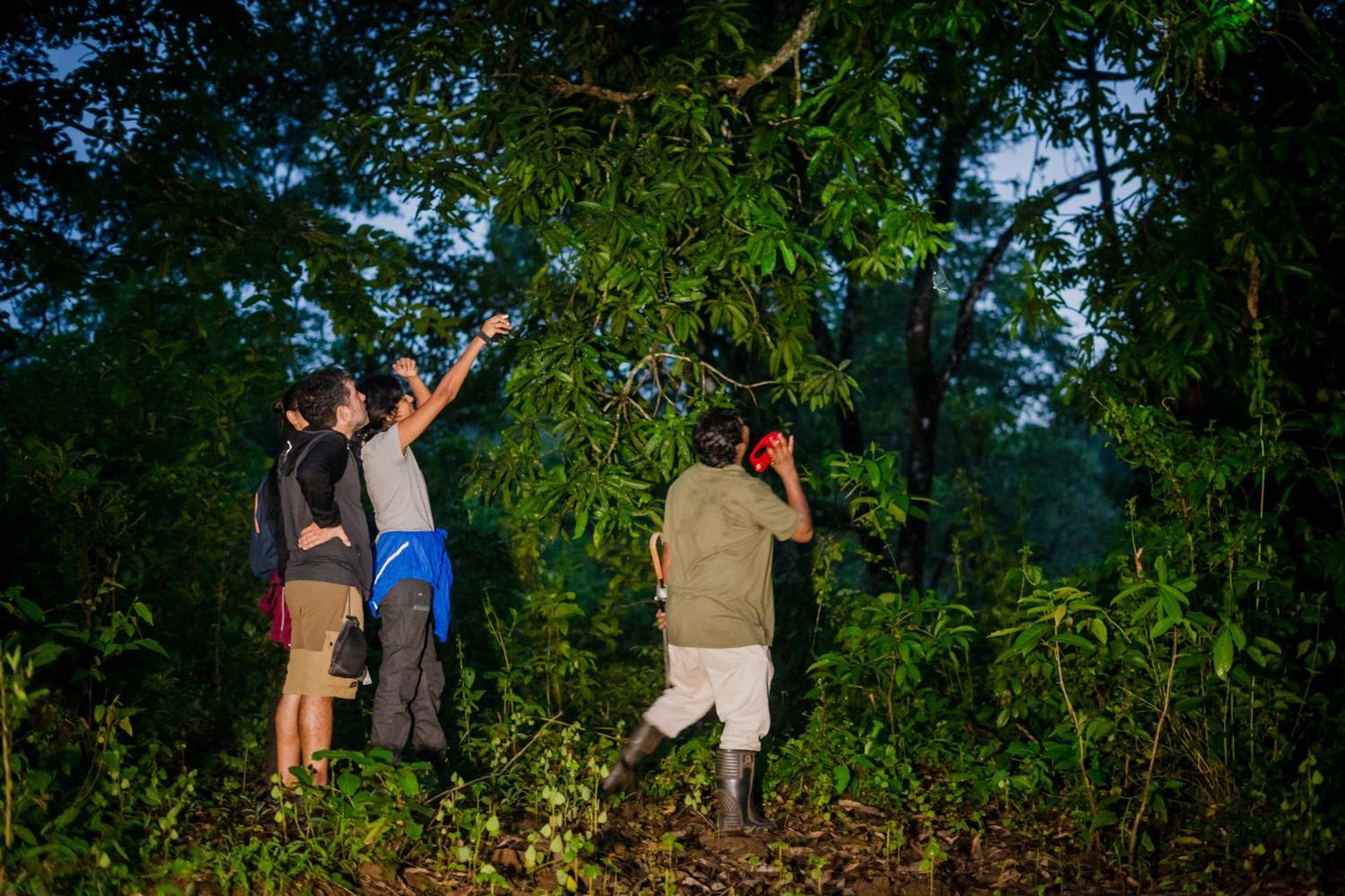 Nature'S Nest Eco Resort Goa, Near Dudhsagar Waterfalls Molem Exteriér fotografie