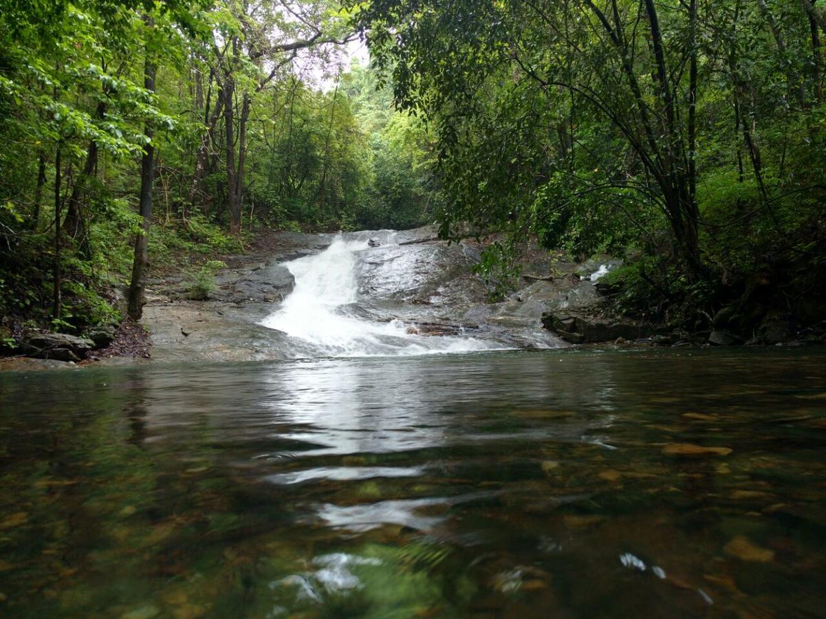 Nature'S Nest Eco Resort Goa, Near Dudhsagar Waterfalls Molem Exteriér fotografie