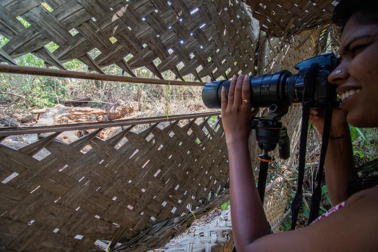 Nature'S Nest Eco Resort Goa, Near Dudhsagar Waterfalls Molem Exteriér fotografie